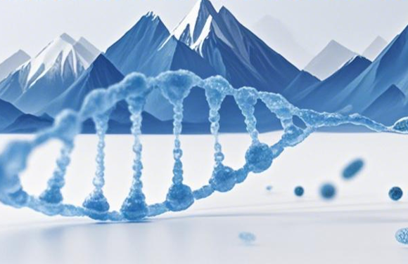  De Novo辅助的DIA同源序列检索提升低丰度突变肽的鉴定