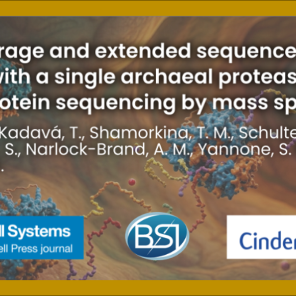 单一古菌蛋白酶可实现深度覆盖与长序列读取，助力质谱高效完成蛋白质从头测序