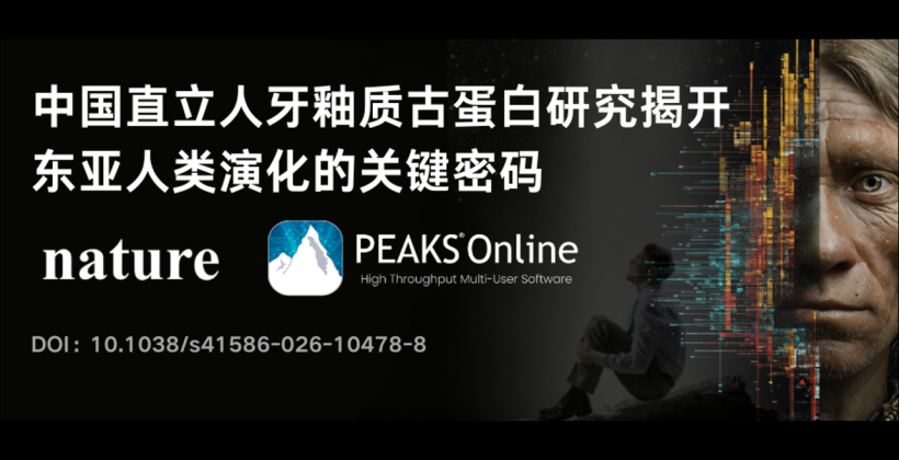 重磅！PEAKS用户再登《Nature》顶刊：中国直立人牙釉质古蛋白研究揭开东亚人类演化的关键密码